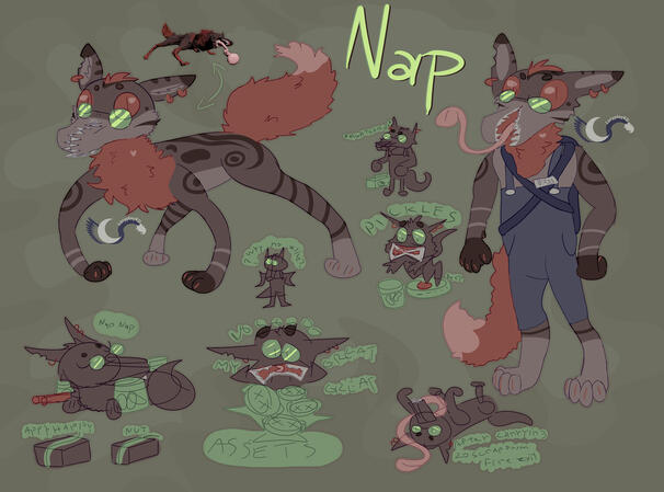 Nap Nap