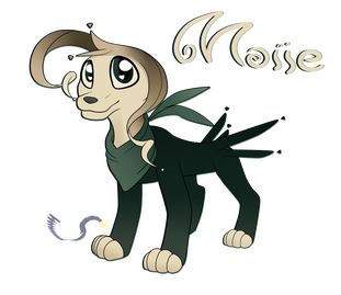 Moiie Moiie